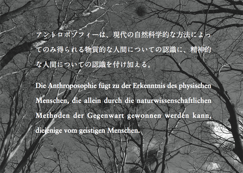 アントロポゾフィー医学とは 一般社団法人 日本アントロポゾフィー医学の医師会